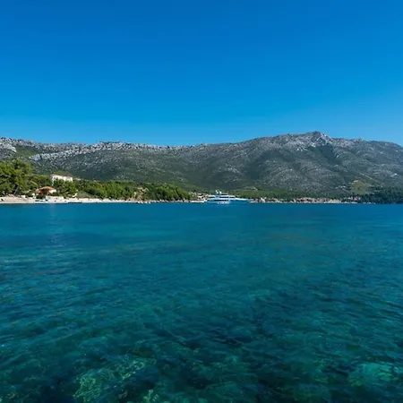 Luxury Holiday With Private Pool By The Beach In - Peljesac